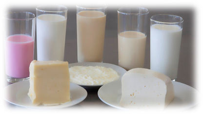 lacteos