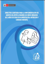 Directiva Sanitaria para la implementación de grupos de apoyo